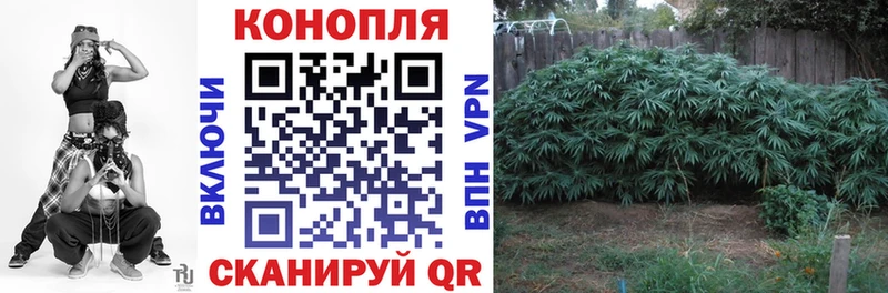 магазин    Темников  ОМГ ОМГ ссылки  Бошки Шишки Amnesia 